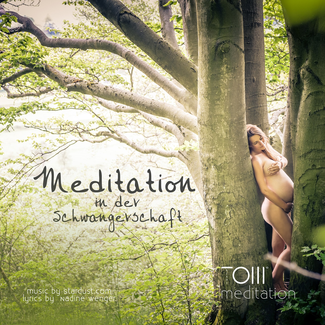 sws-meditation-klein
